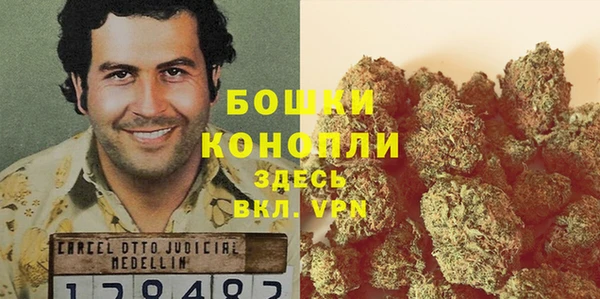 трава Инта