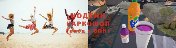 крисы Инсар