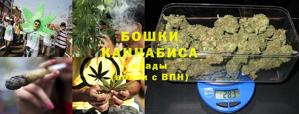 крисы Инсар