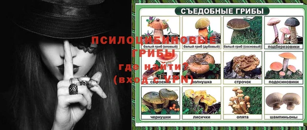 PSILOCYBIN Иннополис