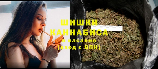 PSILOCYBIN Иннополис