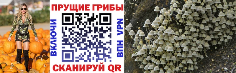 Купить закладки  Кумертау  Галлюциногенные грибы мухоморы 